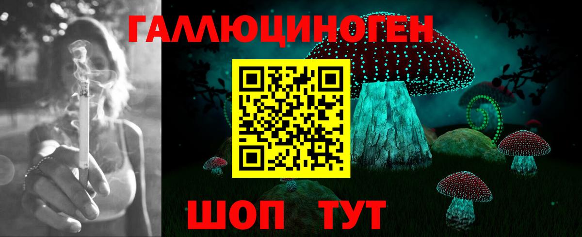 Псилоцибиновые грибы мицелий Сибай